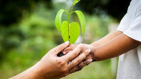 why is it important to take care of our earth, 10 easy ways to save mother earth, ways to help the earth, 100 ways to save mother earth, 10 ways to save the environment, environmental issues, eco friendly, eco friendly product, eco friendly lifestyle, green beauty hair products, green beauty products reviews, green beauty uk, green beauty blog, clean beauty products, clean beauty brands, eco beauty products, natural beauty products,